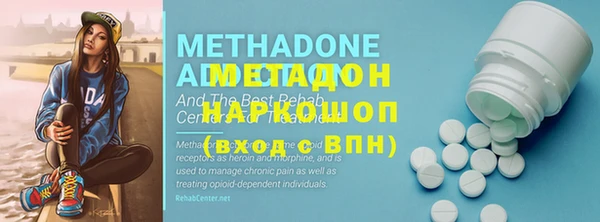 стаф Алексин