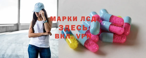 стаф Алексин
